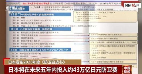 国产31页